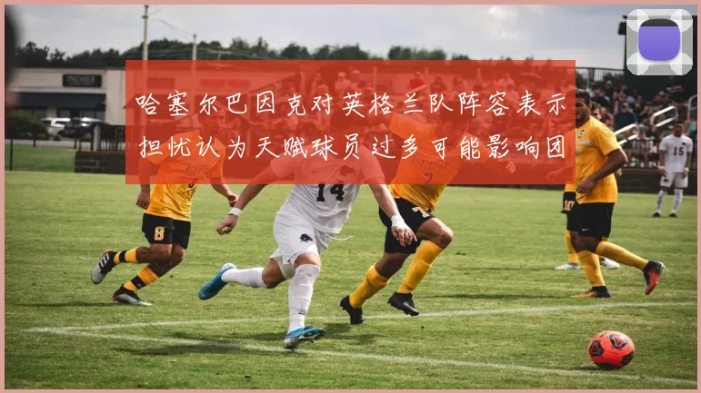 哈塞尔巴因克对英格兰队阵容表示担忧认为天赋球员过多可能影响团队合作